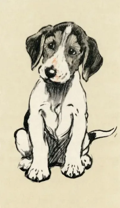 Framed Print : Illustration by Cecil Aldin, foxhound puppy Framed Print : Illustration by Cecil Aldin, foxhound puppy