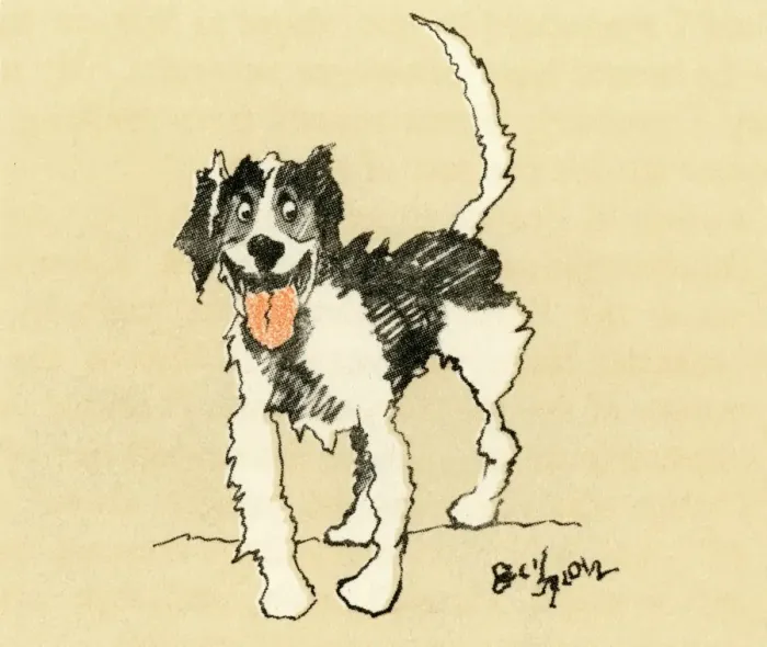 Framed Print : Illustration by Cecil Aldin, French hound Framed Print : Illustration by Cecil Aldin, French hound