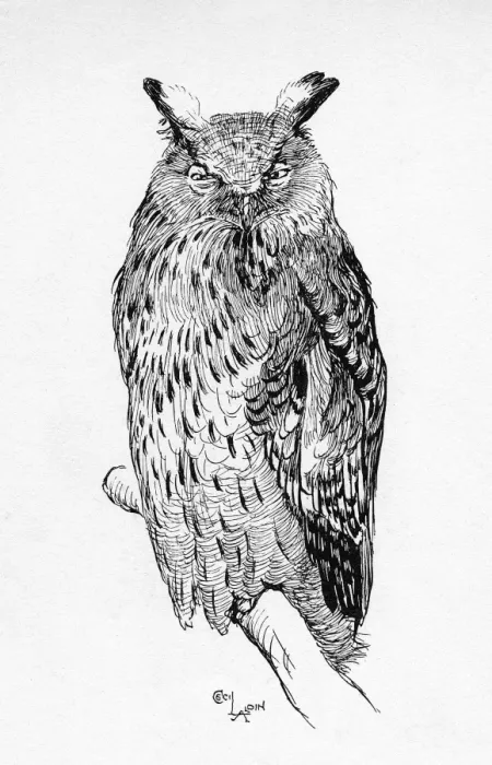 Framed Print : Illustration by Cecil Aldin, The Great Eagle Owl Framed Print : Illustration by Cecil Aldin, The Great Eagle Owl