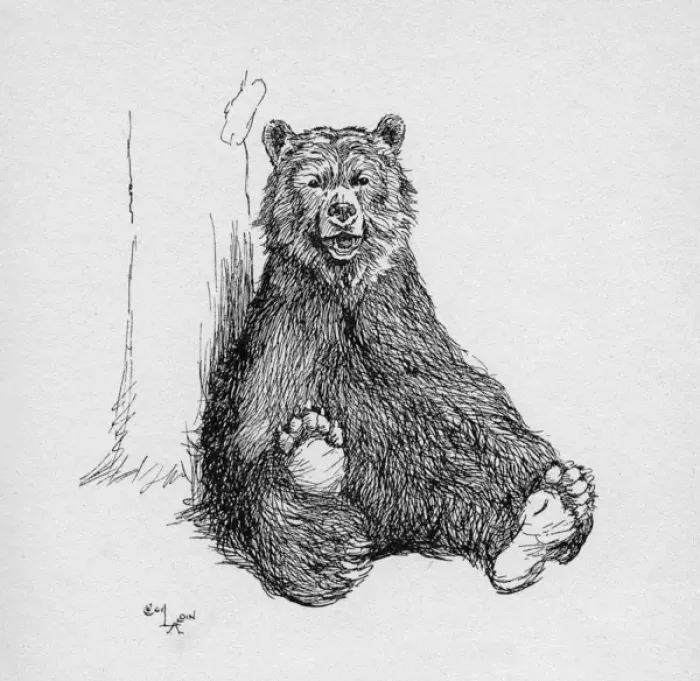 Framed Print : Illustration by Cecil Aldin, The Grizzly Bear Framed Print : Illustration by Cecil Aldin, The Grizzly Bear