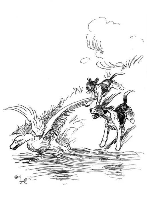Framed Print : Illustration by Cecil Aldin, Hotspur the Beagle Framed Print : Illustration by Cecil Aldin, Hotspur the Beagle