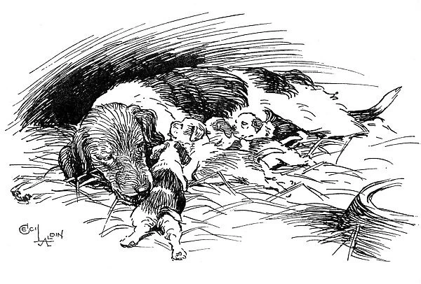 Illustration by Cecil Aldin, Hotspur the Beagle