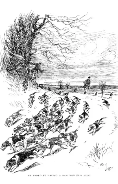 Framed Print : Illustration by Cecil Aldin, Hotspur the Beagle Framed Print : Illustration by Cecil Aldin, Hotspur the Beagle