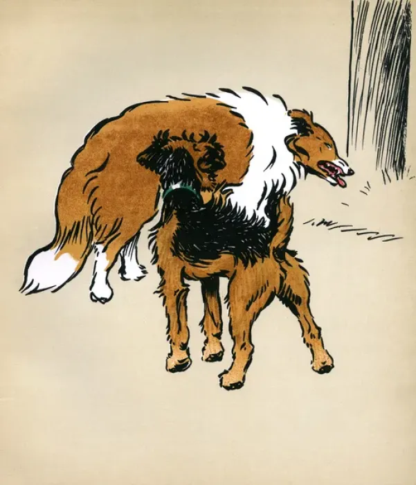 Framed Print : Illustration by Cecil Aldin, Jack and Jill Framed Print : Illustration by Cecil Aldin, Jack and Jill