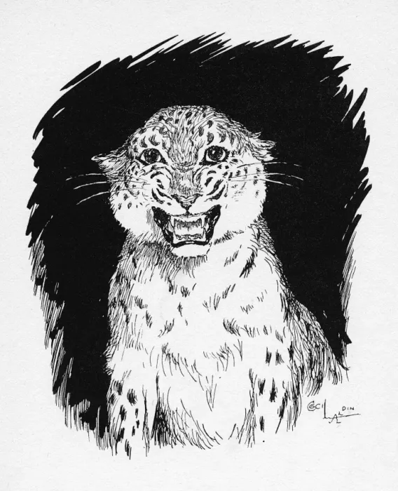 Framed Print : Illustration by Cecil Aldin, The Jaguar Framed Print : Illustration by Cecil Aldin, The Jaguar