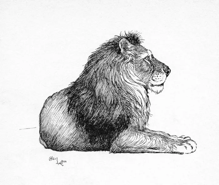Framed Print : Illustration by Cecil Aldin, The Lion Framed Print : Illustration by Cecil Aldin, The Lion