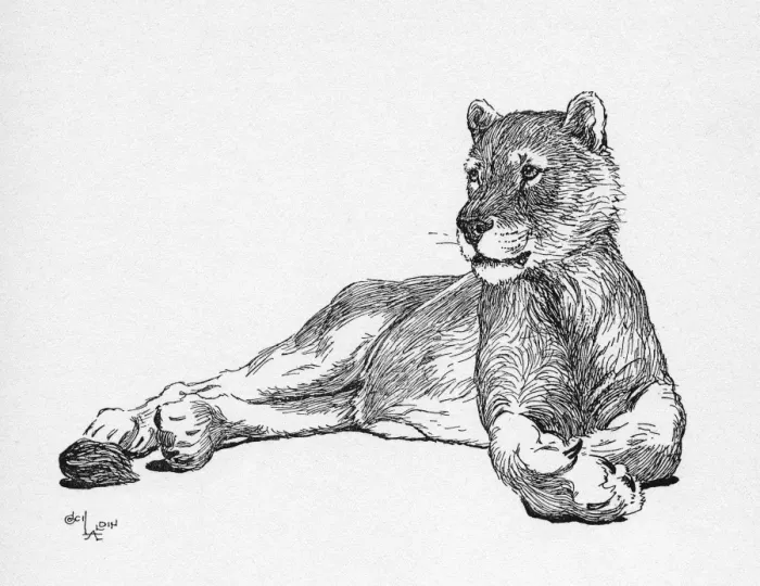 Framed Print : Illustration by Cecil Aldin, The Lioness