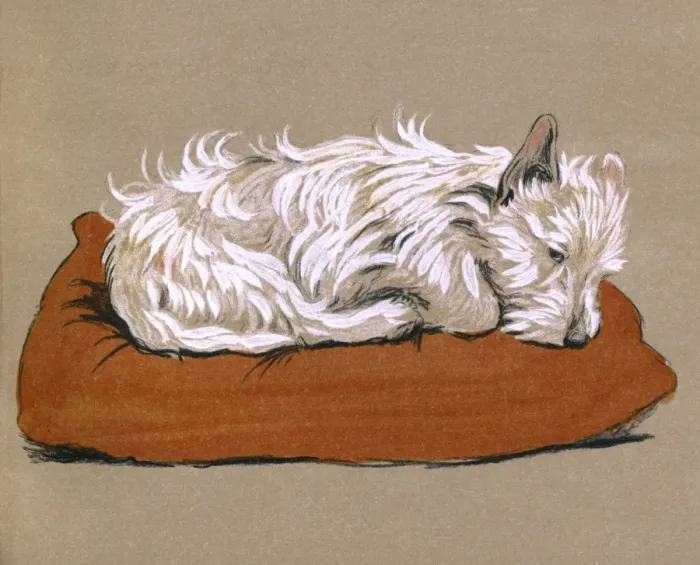 Framed Print : Illustration by Cecil Aldin, Mac Framed Print : Illustration by Cecil Aldin, Mac