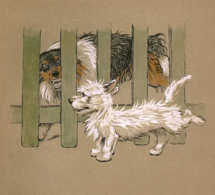 Framed Print : Illustration by Cecil Aldin, Mac Framed Print : Illustration by Cecil Aldin, Mac
