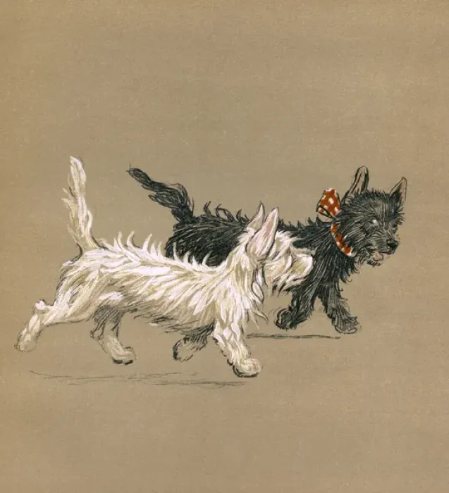 Framed Print : Illustration by Cecil Aldin, Mac Framed Print : Illustration by Cecil Aldin, Mac
