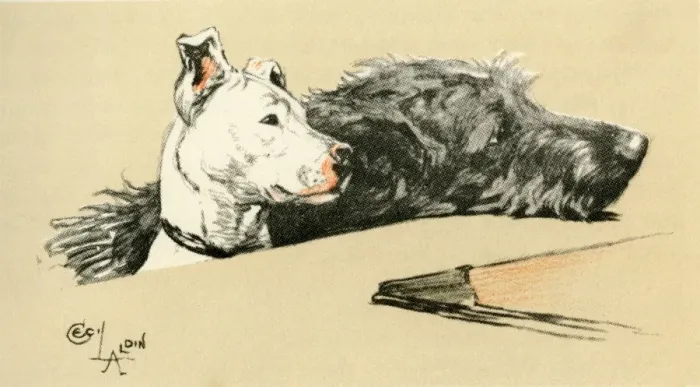 Framed Print : Illustration by Cecil Aldin, Micky and Cracker Framed Print : Illustration by Cecil Aldin, Micky and Cracker