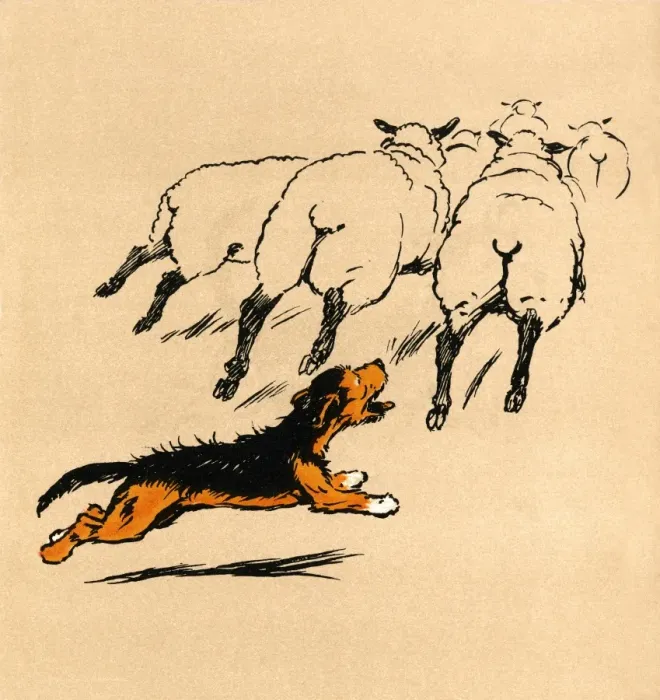 Framed Print : Illustration by Cecil Aldin, The Mongrel Puppy Book Framed Print : Illustration by Cecil Aldin, The Mongrel Puppy Book