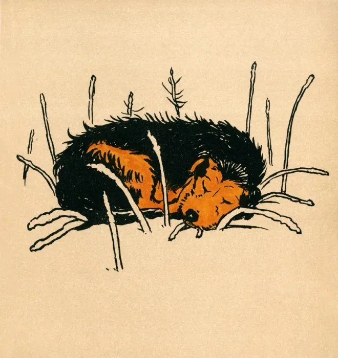 Framed Print : Illustration by Cecil Aldin, The Mongrel Puppy Book Framed Print : Illustration by Cecil Aldin, The Mongrel Puppy Book