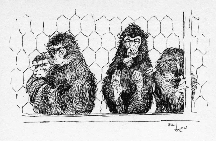 Framed Print : Illustration by Cecil Aldin, The Monkey House Framed Print : Illustration by Cecil Aldin, The Monkey House