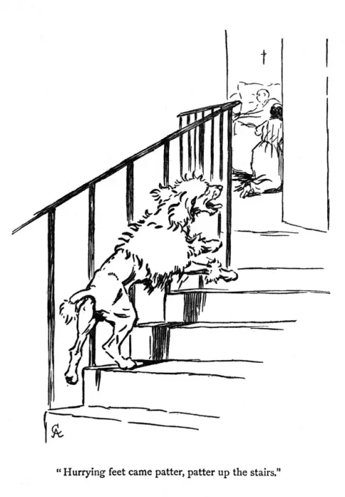 Framed Print : Illustration by Cecil Aldin, Moufflou, by Ouida Framed Print : Illustration by Cecil Aldin, Moufflou, by Ouida