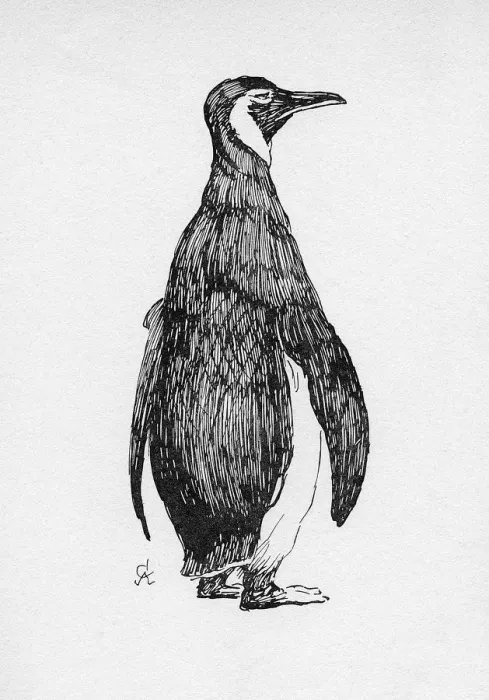 Framed Print : Illustration by Cecil Aldin, The Penguin Framed Print : Illustration by Cecil Aldin, The Penguin