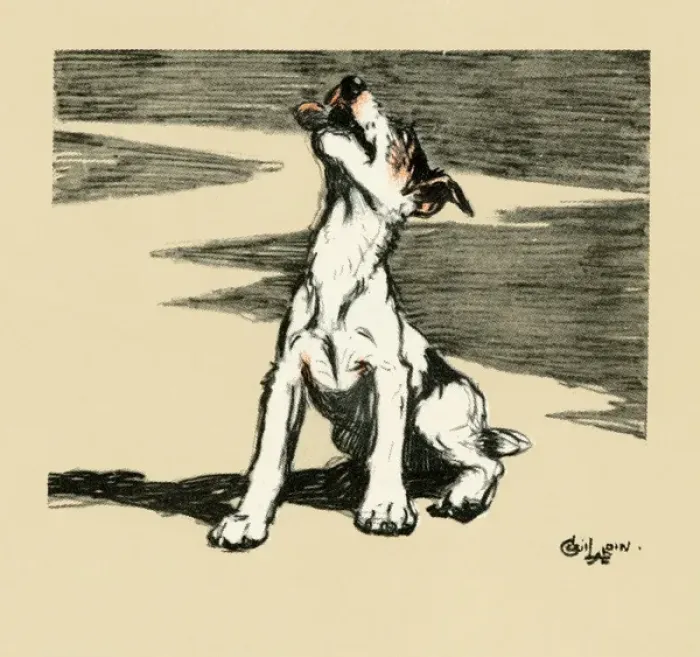 Framed Print : Illustration by Cecil Aldin, puppy howling Framed Print : Illustration by Cecil Aldin, puppy howling