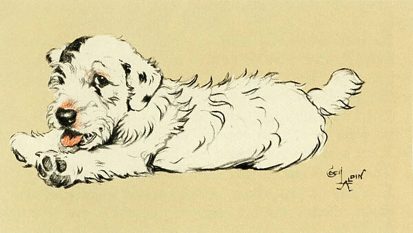 Illustration by Cecil Aldin, puppy lying down