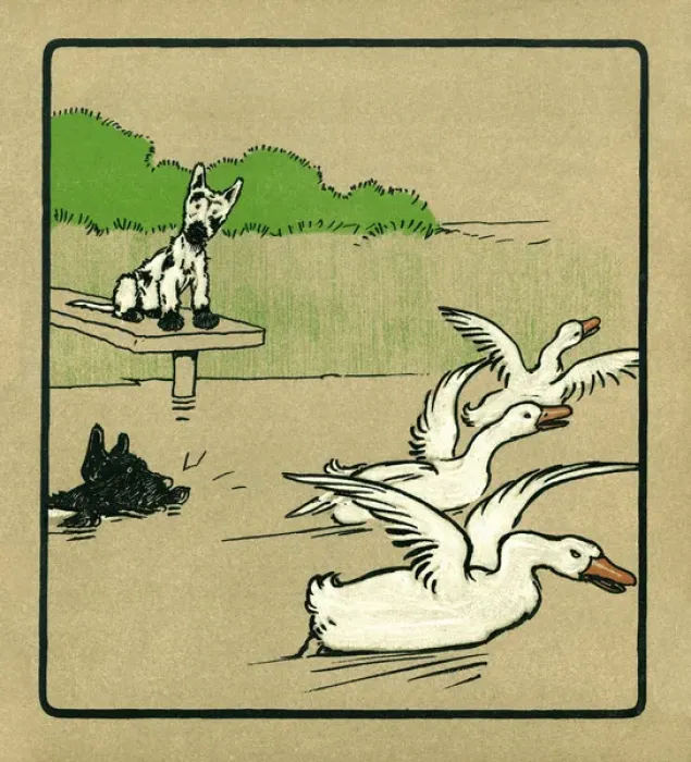 Framed Print : Illustration by Cecil Aldin, Rough and Tumble Framed Print : Illustration by Cecil Aldin, Rough and Tumble