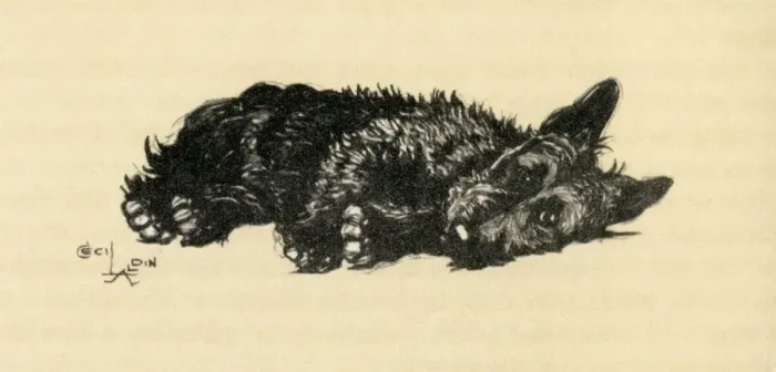 Framed Print : Illustration by Cecil Aldin, Scots terrier Framed Print : Illustration by Cecil Aldin, Scots terrier