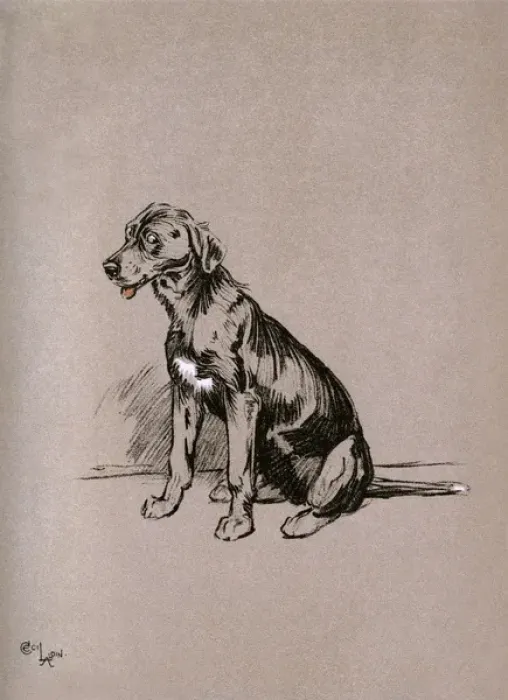 Framed Print : Illustration by Cecil Aldin, The Snob Framed Print : Illustration by Cecil Aldin, The Snob
