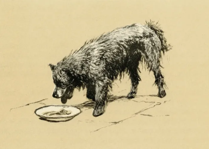 Framed Print : Illustration by Cecil Aldin, study of a Chow Framed Print : Illustration by Cecil Aldin, study of a Chow