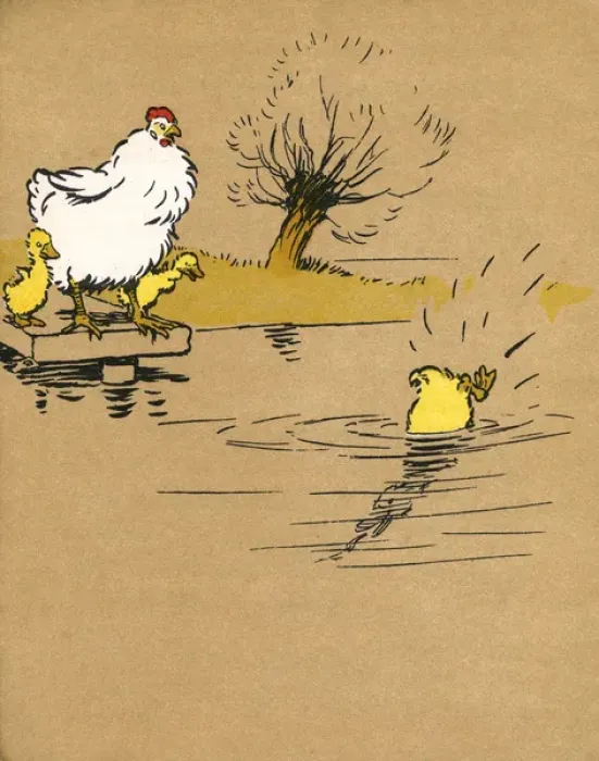 Framed Print : Illustration by Cecil Aldin, Ugly Duckling Framed Print : Illustration by Cecil Aldin, Ugly Duckling