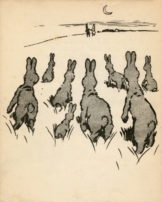 Framed Print : Illustration by Cecil Aldin, White Rabbit Framed Print : Illustration by Cecil Aldin, White Rabbit