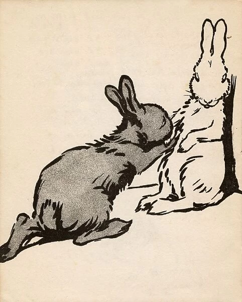 Illustration by Cecil Aldin, White Rabbit