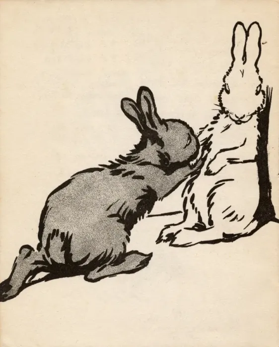 Framed Print : Illustration by Cecil Aldin, White Rabbit