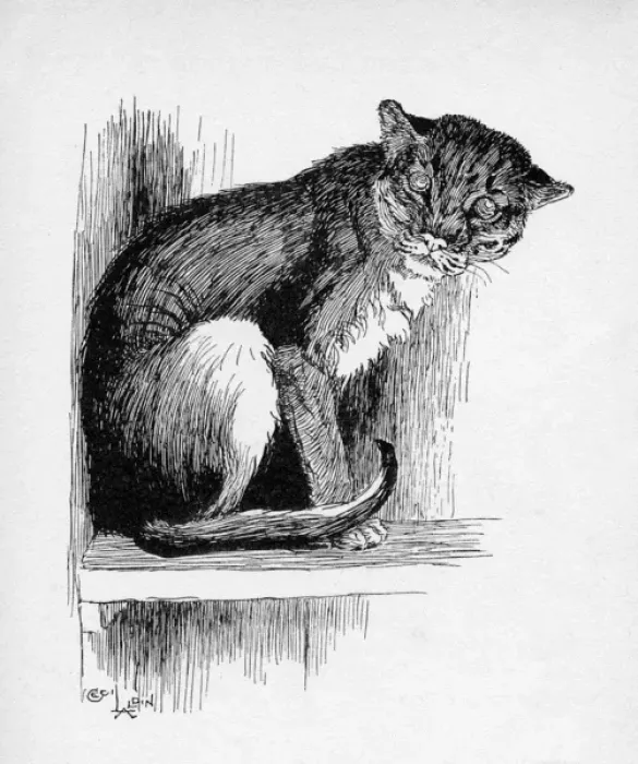 Framed Print : Illustration by Cecil Aldin, The Wild Cat Framed Print : Illustration by Cecil Aldin, The Wild Cat