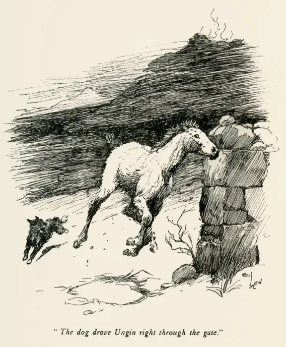 Framed Print : Illustration by Cecil Aldin, The Wild Horses of Iceland Framed Print : Illustration by Cecil Aldin, The Wild Horses of Iceland