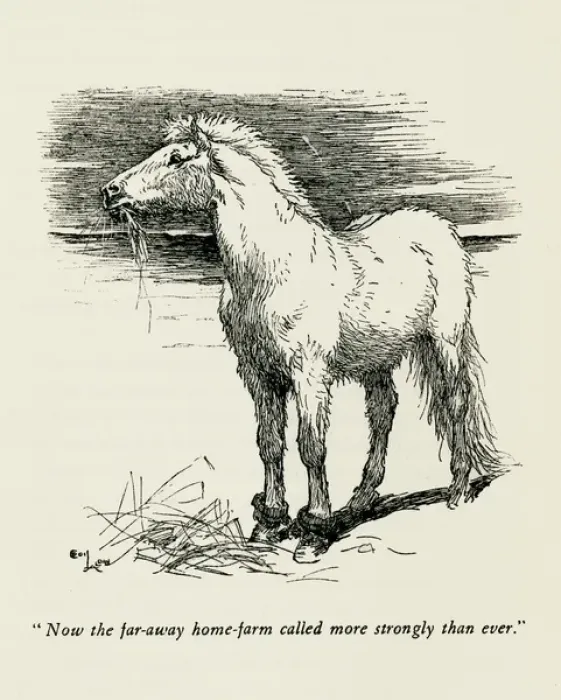Framed Print : Illustration by Cecil Aldin, The Wild Horses of Iceland Framed Print : Illustration by Cecil Aldin, The Wild Horses of Iceland