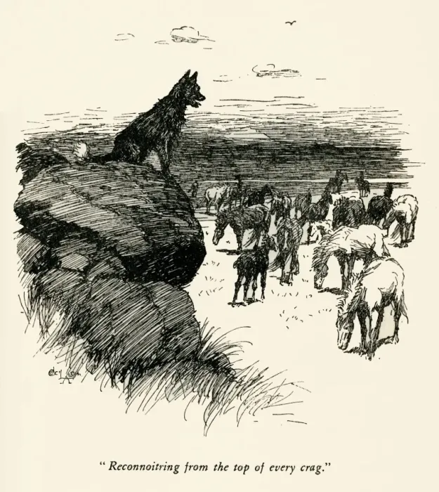 Framed Print : Illustration by Cecil Aldin, The Wild Horses of Iceland Framed Print : Illustration by Cecil Aldin, The Wild Horses of Iceland