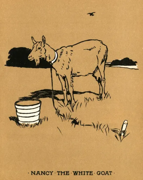 Framed Print : Illustration, Cecil Aldins Painting Books, Our Animals Framed Print : Illustration, Cecil Aldins Painting Books, Our Animals