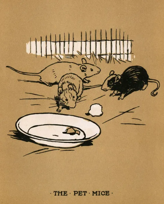 Framed Print : Illustration, Cecil Aldins Painting Books, Our Animals Framed Print : Illustration, Cecil Aldins Painting Books, Our Animals