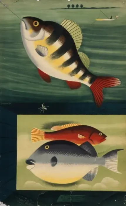 Framed Print : Fish. Illustration of colourful fish on a fishing line, and swimming in the sea Framed Print : Fish. Illustration of colourful fish on a fishing line, and swimming in the sea