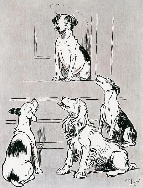 Illustration, The Dogs of War