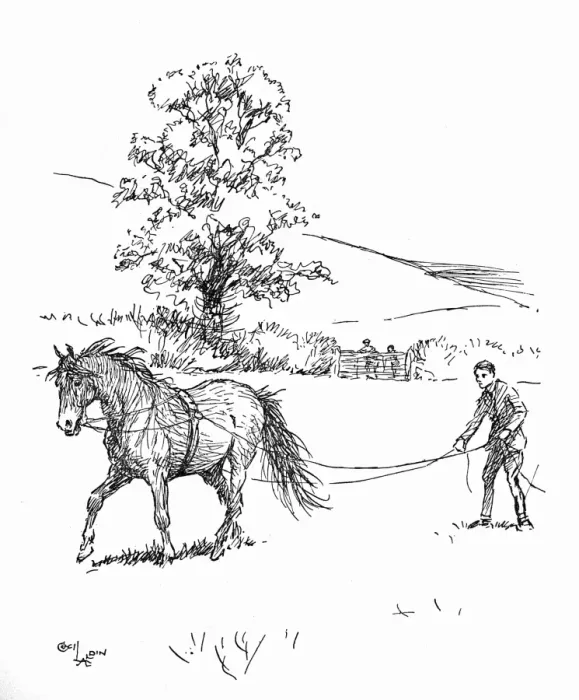 Framed Print : Illustration, driving a pony on long reins Framed Print : Illustration, driving a pony on long reins