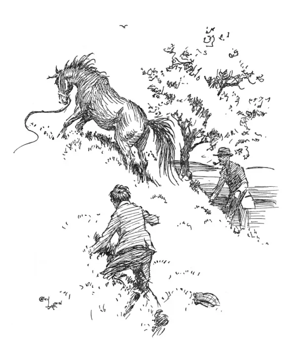 Framed Print : Illustration, escaped pony Framed Print : Illustration, escaped pony