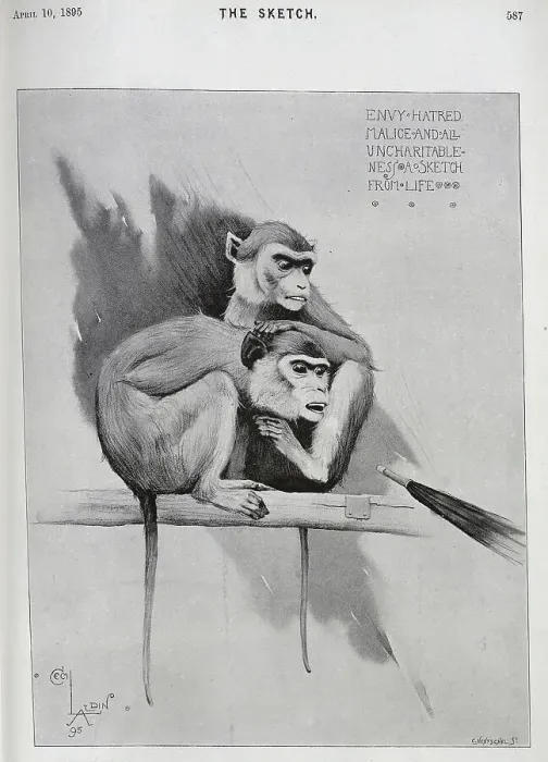 Framed Print : Illustration of monkeys, pointed by an umbrella, Cecil Aldin Framed Print : Illustration of monkeys, pointed by an umbrella, Cecil Aldin