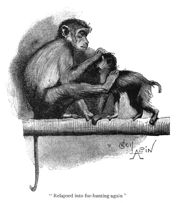 Framed Print : Illustration, two monkeys in a zoo Framed Print : Illustration, two monkeys in a zoo