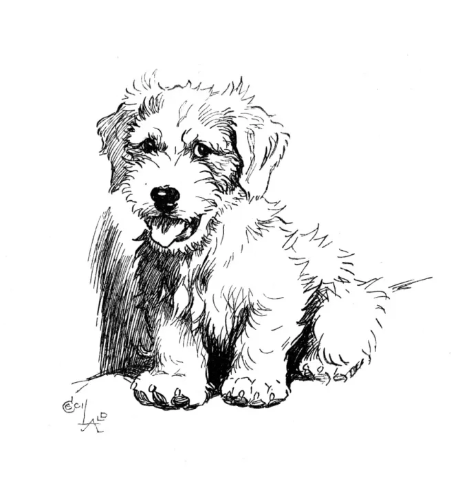 Framed Print : Illustration of a Sealyham terrier by Cecil Aldin Framed Print : Illustration of a Sealyham terrier by Cecil Aldin