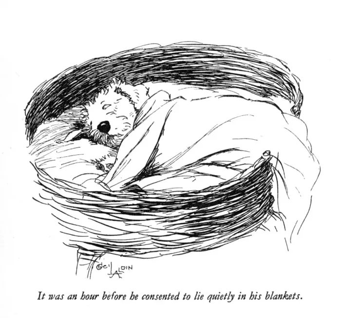 Framed Print : Illustration of a Sealyham terrier by Cecil Aldin Framed Print : Illustration of a Sealyham terrier by Cecil Aldin