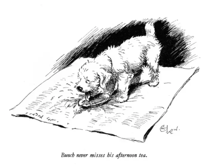 Framed Print : Illustration of a Sealyham terrier by Cecil Aldin Framed Print : Illustration of a Sealyham terrier by Cecil Aldin