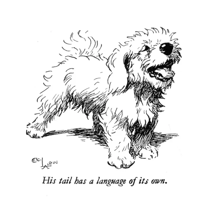 Framed Print : Illustration of a Sealyham terrier by Cecil Aldin Framed Print : Illustration of a Sealyham terrier by Cecil Aldin