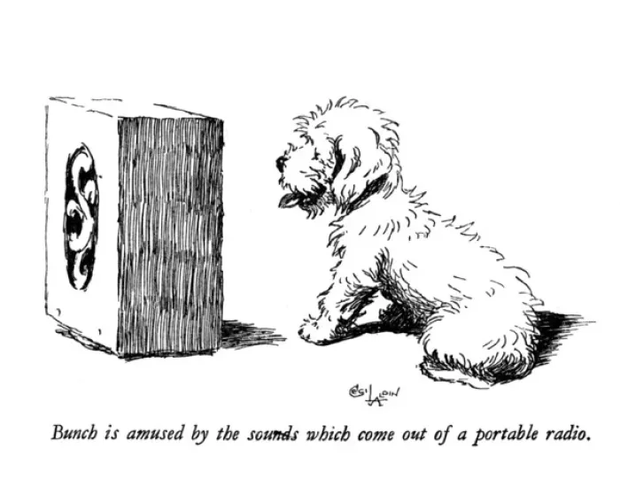 Framed Print : Illustration of a Sealyham terrier by Cecil Aldin Framed Print : Illustration of a Sealyham terrier by Cecil Aldin