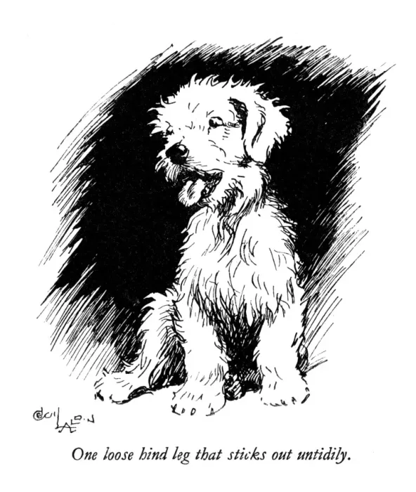 Framed Print : Illustration of a Sealyham terrier by Cecil Aldin Framed Print : Illustration of a Sealyham terrier by Cecil Aldin
