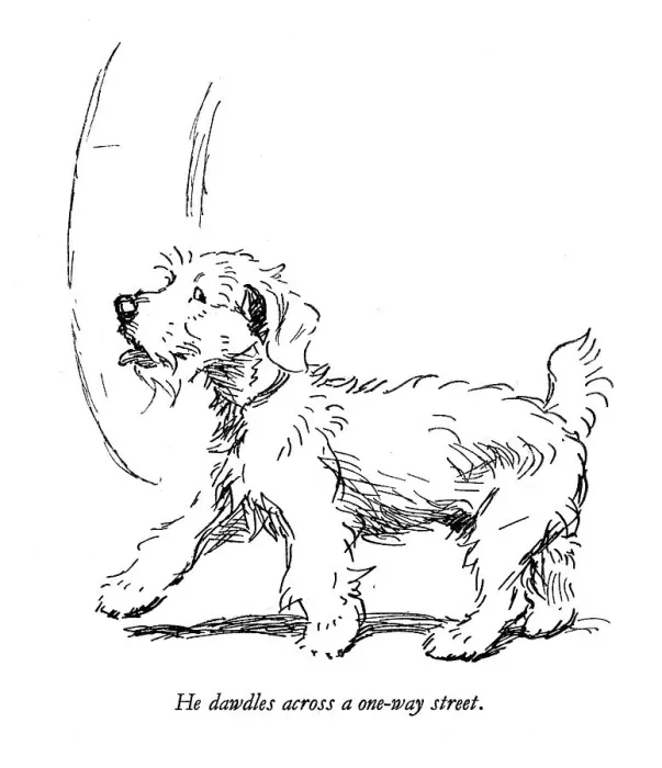 Framed Print : Illustration of a Sealyham terrier by Cecil Aldin Framed Print : Illustration of a Sealyham terrier by Cecil Aldin