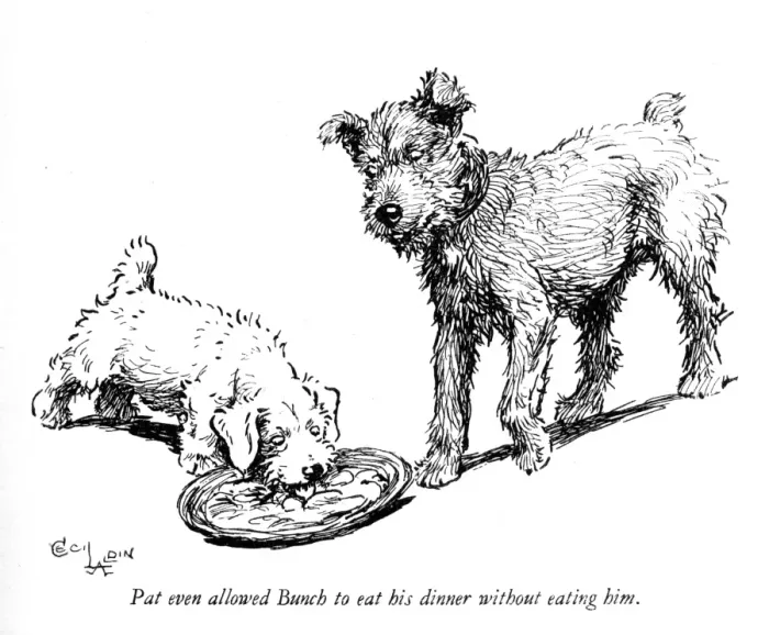 Framed Print : Illustration of a Sealyham terrier puppy by Cecil Aldin Framed Print : Illustration of a Sealyham terrier puppy by Cecil Aldin